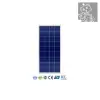LEXRON 36 CELL 175W POLYKRİSTAL GÜNEŞ PANELİ